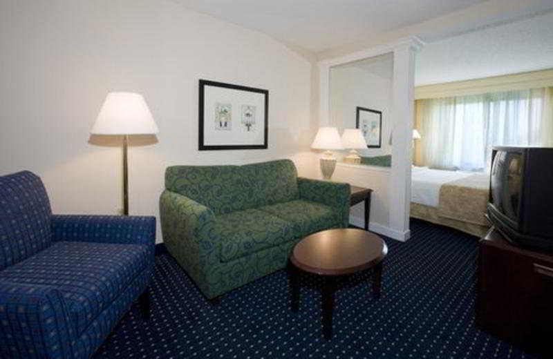 Springhill Suites Austin South Rum bild